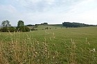 Pronájem - ubytování Řevnov